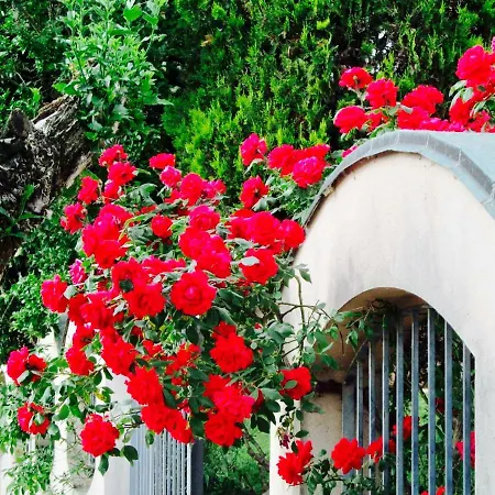Near Milan & Rho Fiera Holiday home