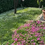 Villa Enza וילה *