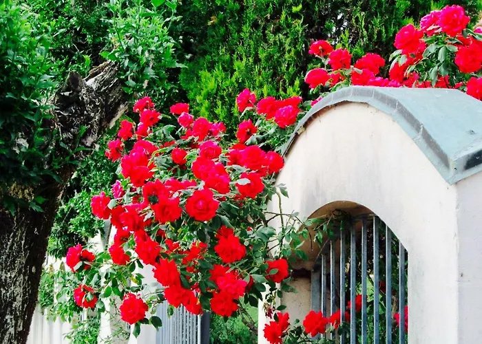 Villa Enza فيلة